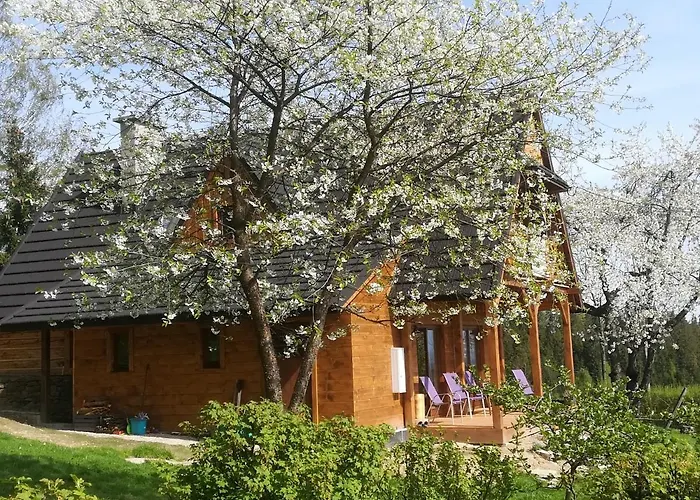 Buflaczanka Chalet *