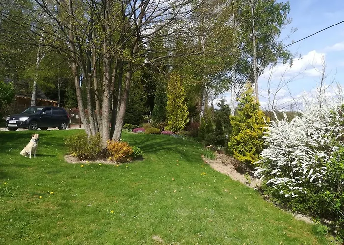 Buflaczanka Chalet Nowy Targ