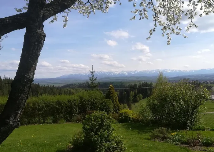 Buflaczanka Chalet *